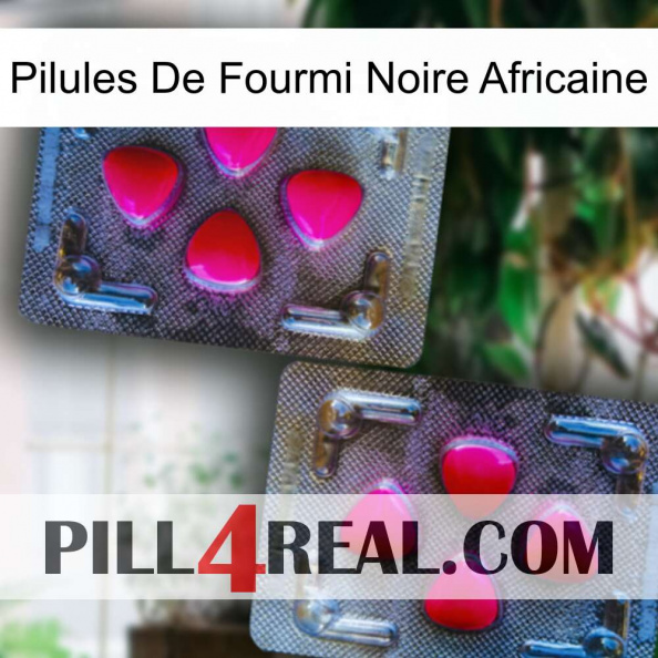 African Black Ant Pills 15.jpg